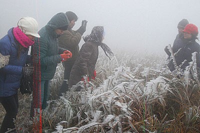 Tourists take pictures of ice-covered grass on top of Mau Son Mountain, northern Lang Son Province. (Photo:VNA)
